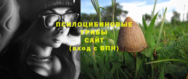 соль ск Анжеро-Судженск