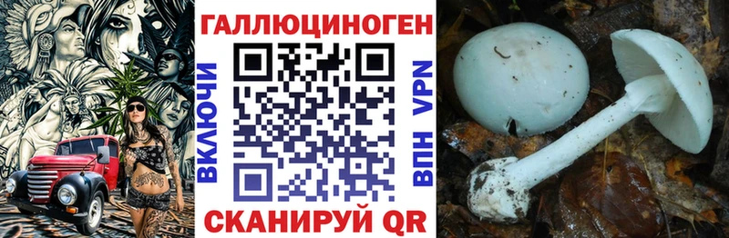 Галлюциногенные грибы ЛСД  Черноголовка 